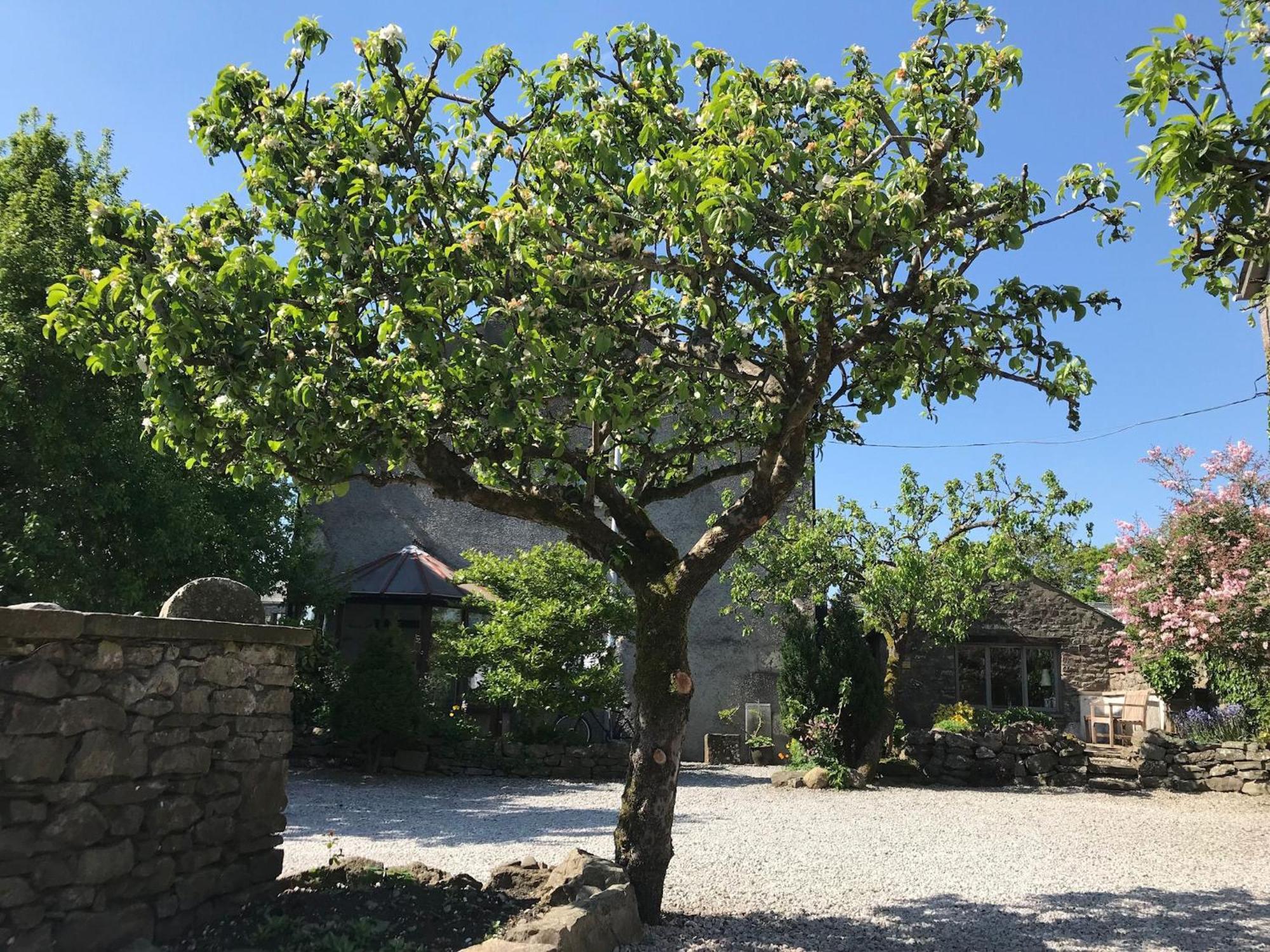 Pear Tree Barn Villa Crooklands Buitenkant foto